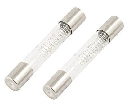 BUY SPARES Universal Microwave Oven Glass Tube Fuse, Compatible with All Brands and Ovens, Pack of 2 BS1419